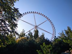 -辛玛王国游乐园