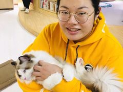 -猫和宫(六道口店)