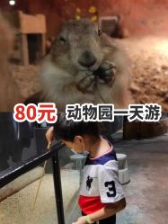 -酷嗒动物文化乐园(cutezoo西溪乐天城店)