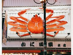 -蟹道乐(道顿堀本店)