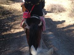 茶马古道骑马-丽江千古情