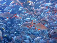 -成都浩海立方海洋公园