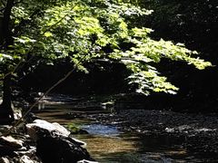 -关门山森林公园
