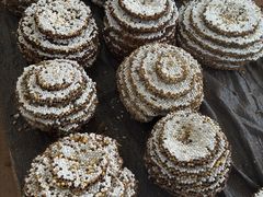 -云南木水花野生菌交易中心