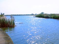 -盐城丹顶鹤湿地生态旅游区