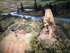 -陕西自然博物馆