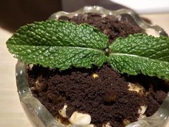 -鱼酷活鱼烤鱼(人信汇商场店)