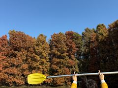 -上海海湾国家森林公园