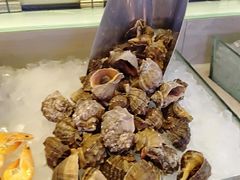 -富力希尔顿酒店·地阔自助餐厅