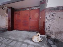 -鸡鸣驿古城