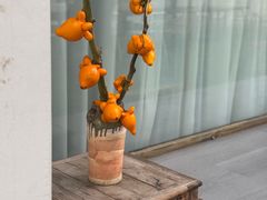 -柠檬花院烤肉·围炉煮茶·草坪团建·生日派对(三圣乡店)