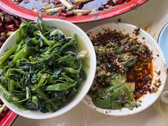 -东吴霸王兔(松青路店)