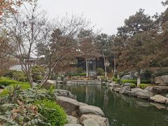 -中国唐苑