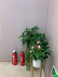 -杭州米兰柏羽医疗美容医院