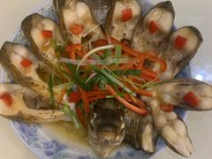 -懒熊月嫂中心(金鸡湖店)
