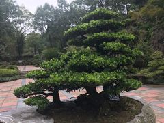 -南山植物园