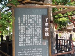 -水峪民俗村