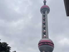 -王丽律师团队·专注婚姻家事(黄浦店)