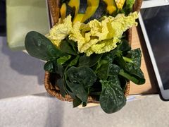 -海底捞火锅(金桥太茂商业广场店)