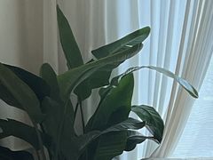 -观心实验室·心理咨询(徐汇店)