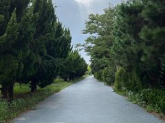 -日照海滨国家森林公园