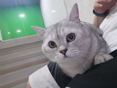 -瑞鹏瑞爱宠物医院·全科·猫科·血液透析中心(龙头寺店)