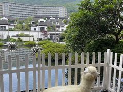 -舟山朱家尖绿城威斯汀度假酒店