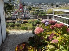 -唐咖精品咖啡(大理古城手冲店)