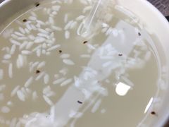 冰米酒-满天星太珍火锅