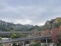 -福道