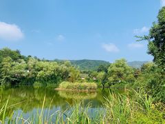 -溪口-滕头旅游景区