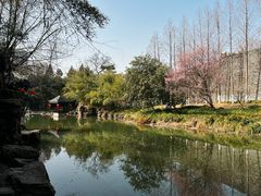 -水绘园