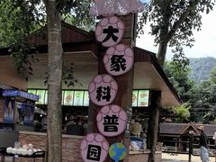-野象谷景区