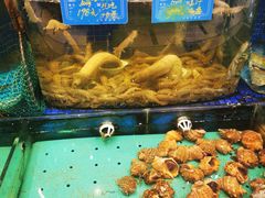 水产区-蓝港海鲜厨房(金水路店)