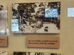 -北京动物园-畅观楼