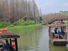 -溱湖国家湿地公园