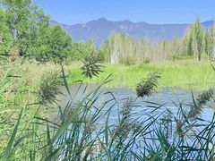 -野鸭湖国家湿地公园