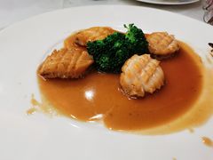 鲍汁扣大连鲍鱼-东江海鲜酒家(艺都分店)