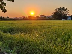 -低涌(地铁站)