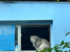 -青藏高原野生动物园