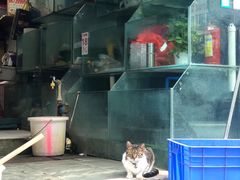 -青石桥市场北1-27号