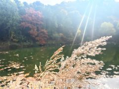 -香山公园