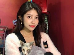 -猫色咖啡·猫咖