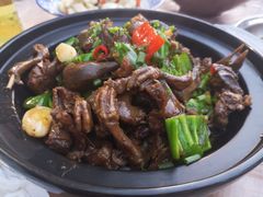 -龙小海荆沙鸽子店(瑞安街店)