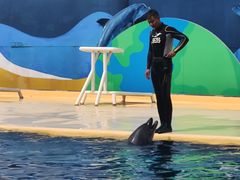 -秦皇岛乐岛海洋王国