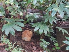 -狼山风景名胜区