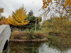 -长白岛森林公园