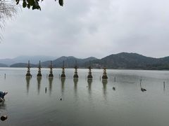 -鸣鹤古镇