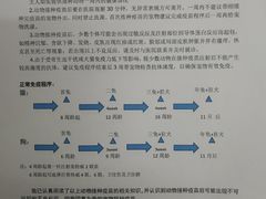 -联合动物医院(光谷诊疗中心)