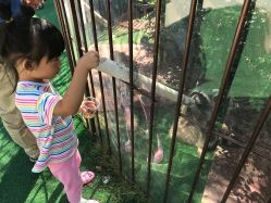 -萌宠亲子动物乐园(槐房万达店)